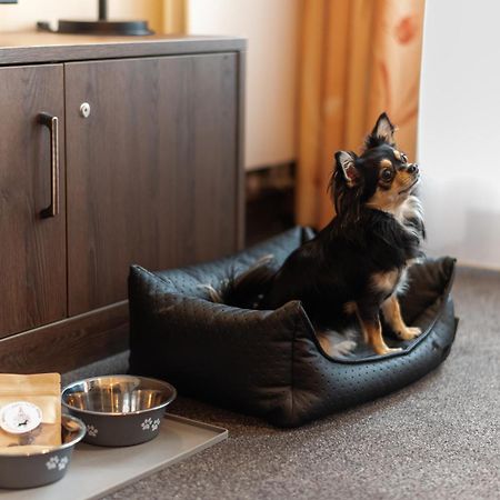 Familienapartment Am Neumarkt Lll Δρέσδη Εξωτερικό φωτογραφία