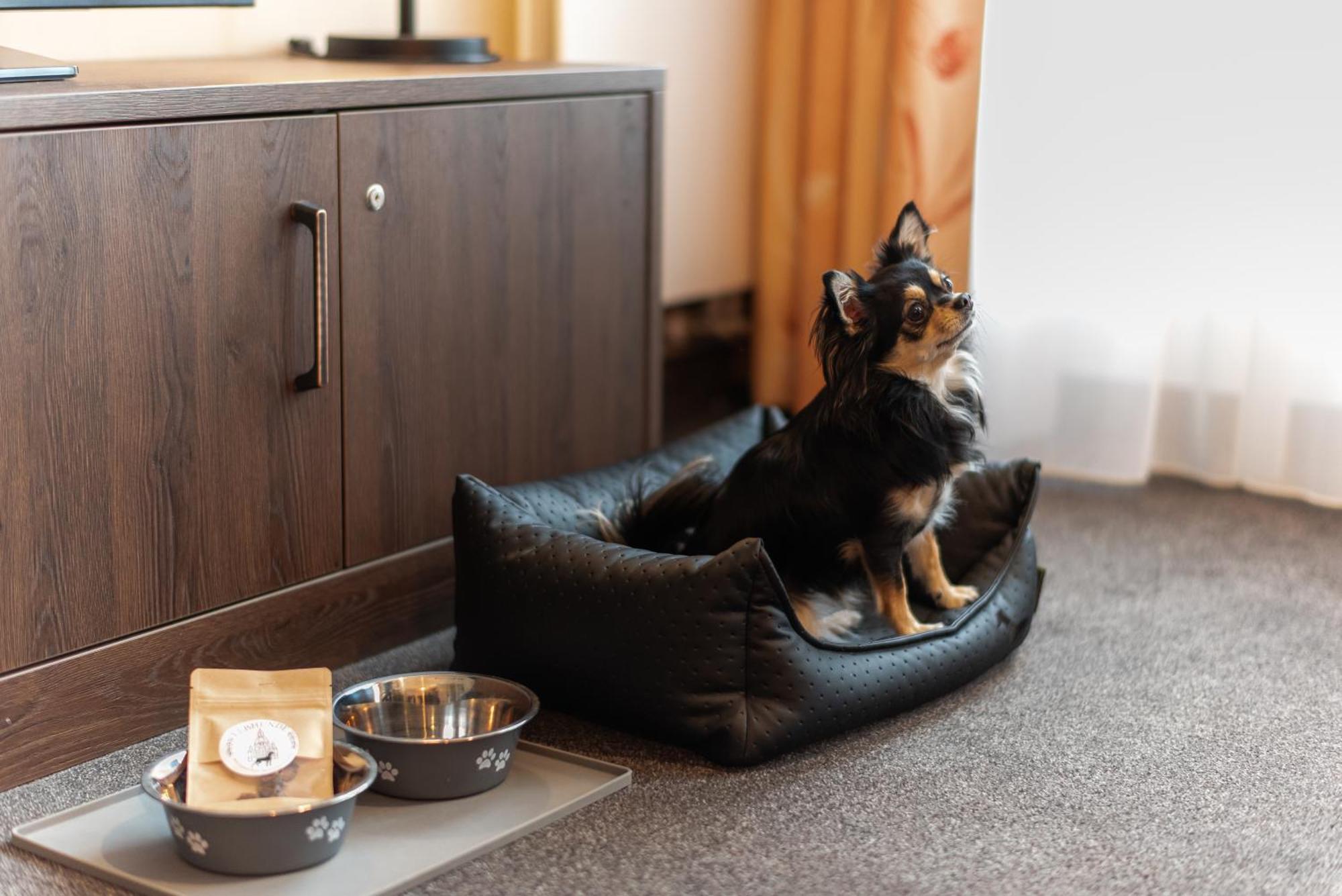 Familienapartment Am Neumarkt Lll Δρέσδη Εξωτερικό φωτογραφία